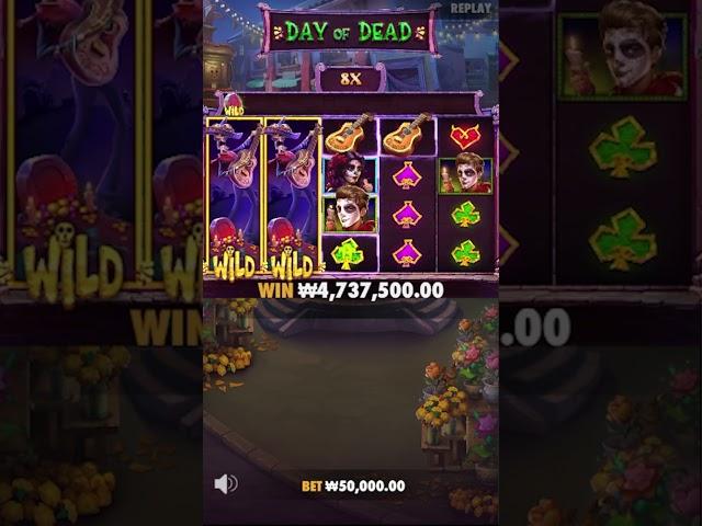 [슬롯 메리] 데이 오브 데드(Day Of Dead) - 456배 당첨 영상!