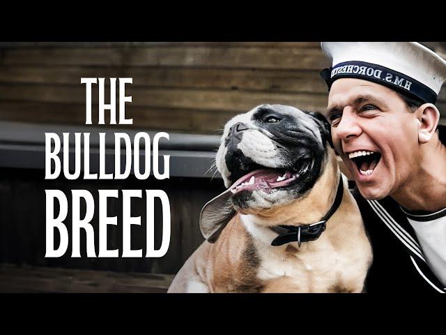 The Bulldog Breed | Full Classic Movie