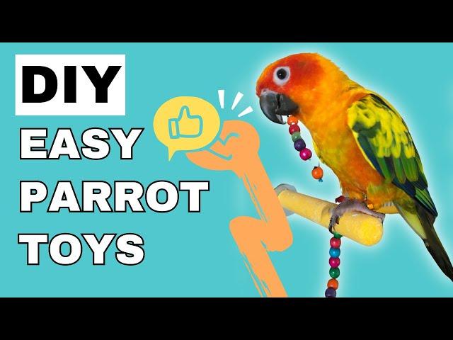 Super Cheap and Easy Homemade Bird Toys!