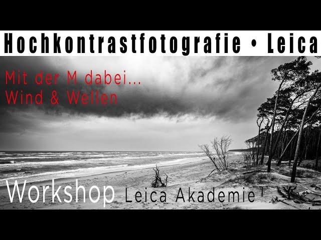 Hochkontrastfotografie • Leica Akademie Workshop • mit der Leica M dabei • Schwarz-Weiss-Fotografie