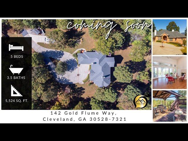 Cleveland Homes for Sale by Gold Peach Realty - 142 Gold Flume Way Cleveland GA 30528 7321