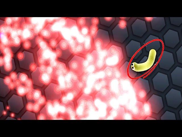 Slither.io - The Fastest Grow Up Small Snake