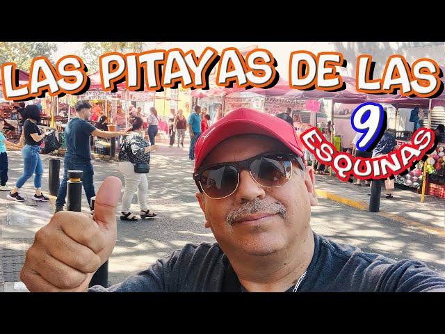 Pitayas la fruta preferidas de los tapatíos en las 9 esquinas |Guadalajara jal.