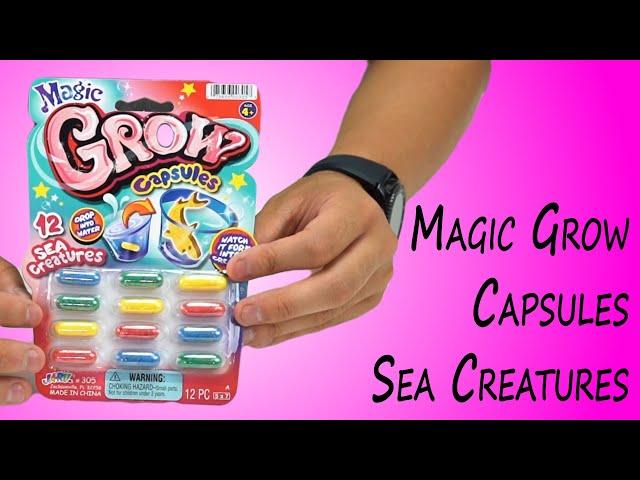 Magic Grow Capsules Sea Creatures