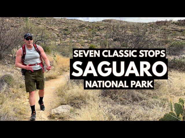 Your Guide to Saguaro National Park East | Southern Arizona