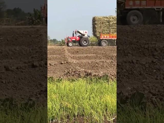 Mahindra Arjun Tractor heavy loaded Trolley