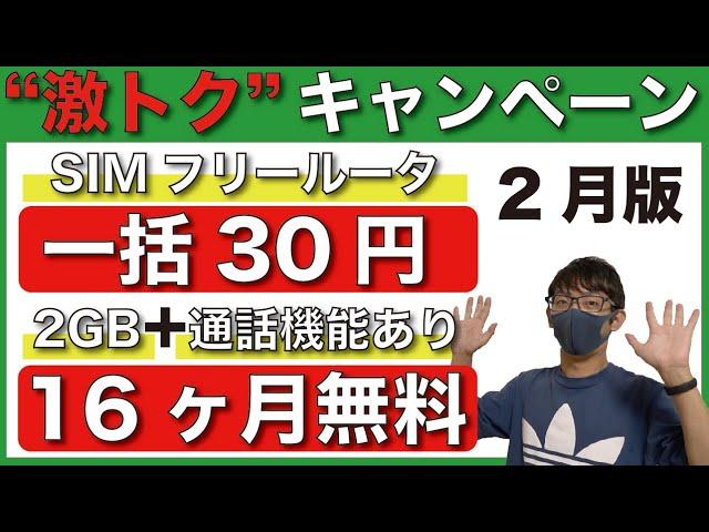 【2月版】"激トク"で契約できる通信会社を徹底解説【格安SIM】