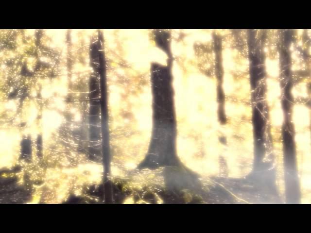 Eldamar - Travel in Woods