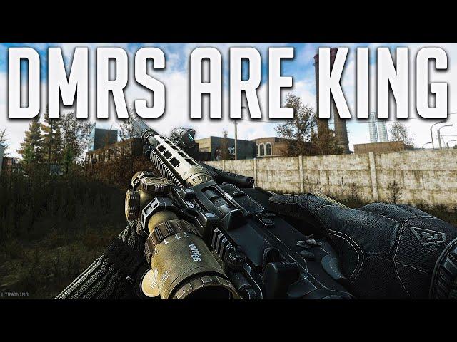 Are DMRs The BEST Choice Of Weapon?