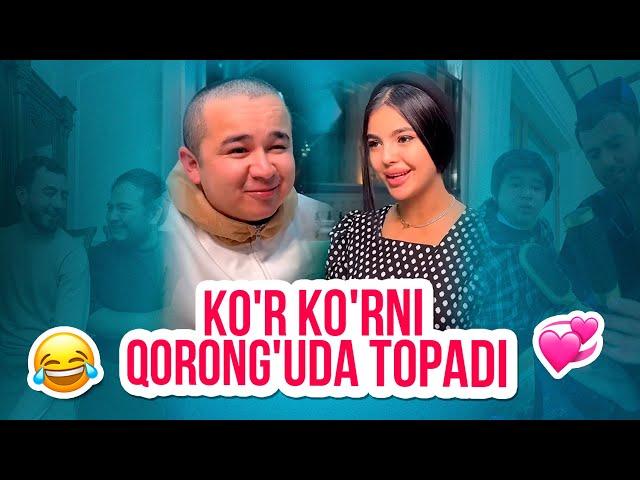 Mittivine | Ko'r ko'rni qorong'uda topadi 