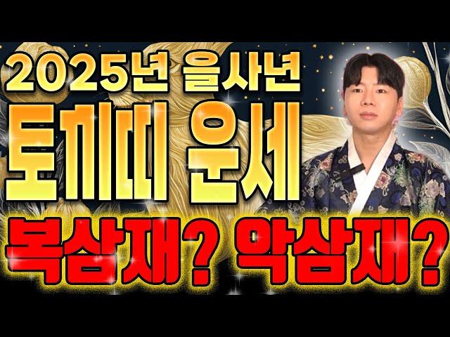 을사년에 토끼띠에게 큰 사건이 터진다?!!" 2025년 을사년 토끼띠운세를 묻자...충격!! 인생을 바꿀 엄청난 금전 대운이 들어온다!! 2025년 토끼띠에게 찾아오는 변화는?