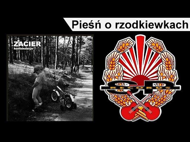 ZACIER - Pieśń o rzodkiewkach [OFFICIAL AUDIO]