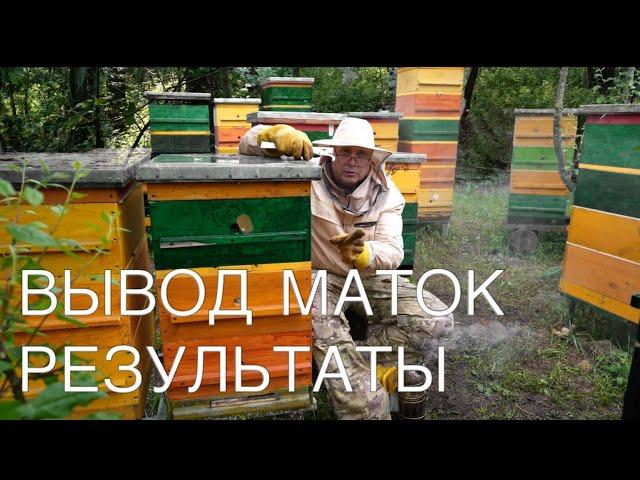 РЕЗУЛЬТАТЫ ВЫВОДА МАТОК