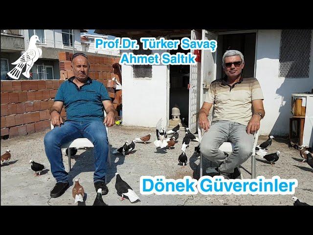 Dönek Güvercinler Hakkında Sorular - Cevaplar... | Prof.Dr. Türker Savaş ve Ahmet Saltık