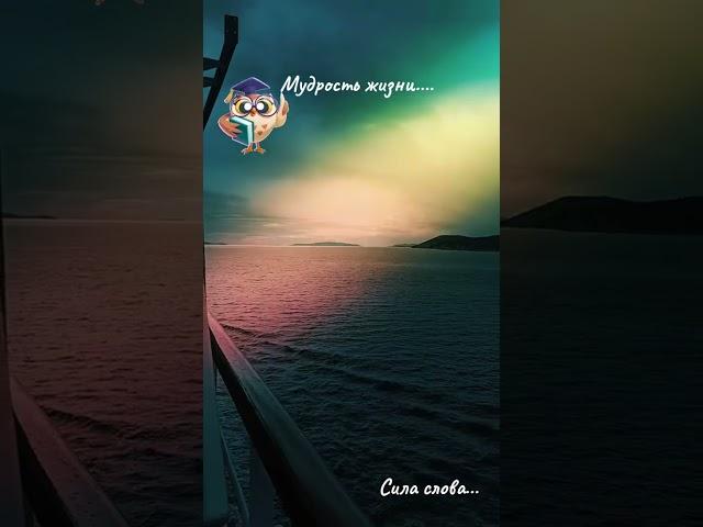 В этом мире нет ничего случайного #мир #случайность
