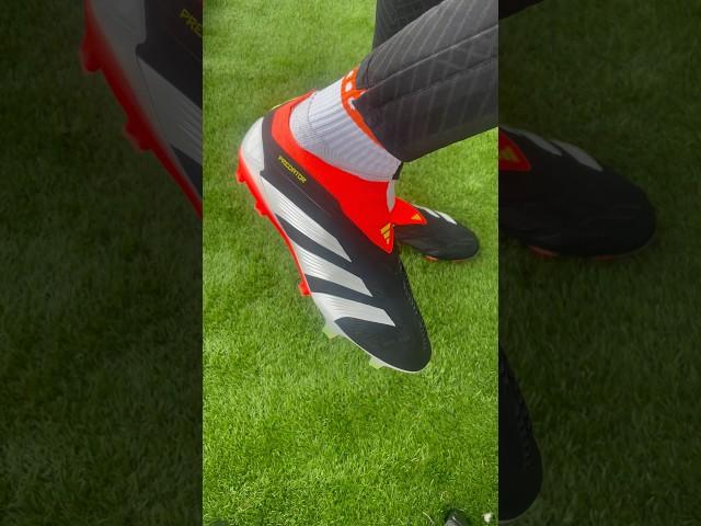 Adidas Predator Elite LL on 