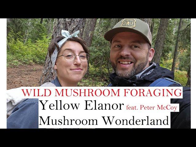 Yellow Elanor visits Mushroom Wonderland : feat  Peter McCoy