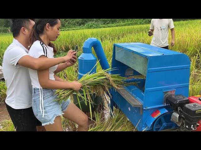 Backbone machinery BB-TG-80  rice thresher