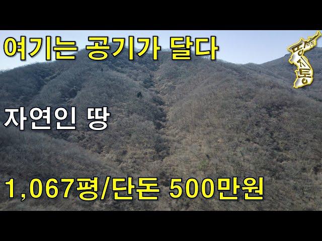 단돈 500만원~자연인 결심하신 분 보세요. 계곡물 흐르는 천상 자연인 땅[땅지통]