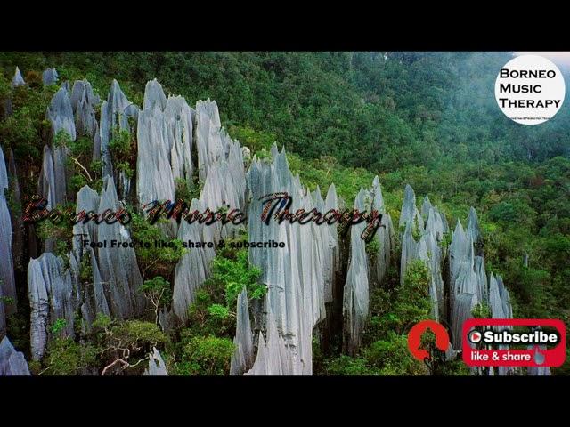 5 Minutes Modernize Sape with Pop Genre music | Borneo Music | Relaxing Music | Yoga Music