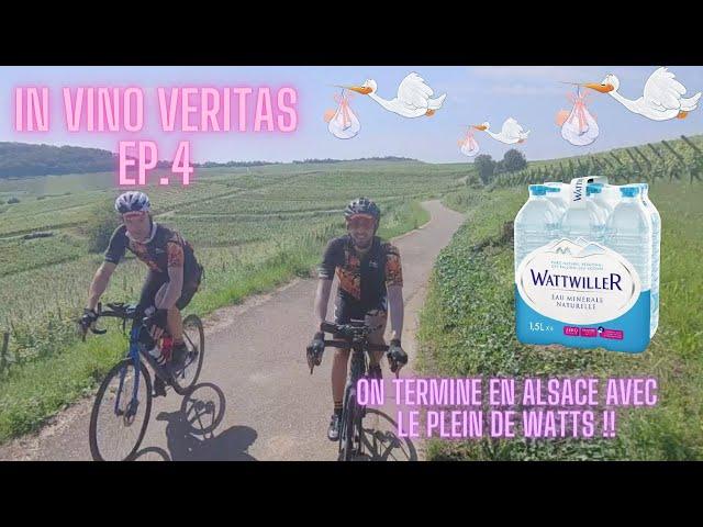 IVV EP4 - Fin de l'aventure en Alsace, l'heure du bilan ! (On finit avec les Watts de Wattwiller)