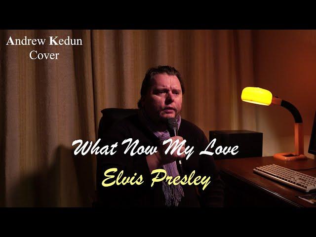 Elvis Presley - What Now My Love (Cover by Andrew Kedun)