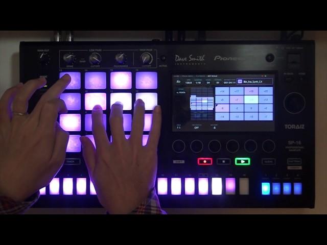 Pioneer DJ TSP-16 Professional Sampler Playing Review and Preview