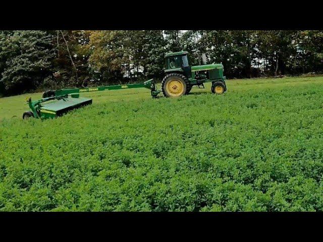 Mowing & Merging 4th Cutting Alfalfa