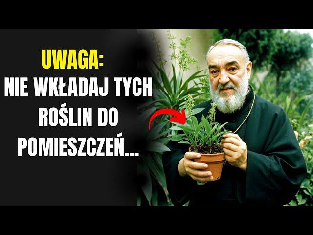 OJCIEC PIO: 5 ROŚLIN, KTÓRE NALEŻY NATYCHMIAST USUNĄĆ ZE SWOJEGO DOMU. PRZYCIĄGAJĄ UBÓSTWA!