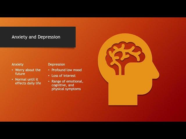 Understanding Anxiety and Depression Amongst Military Members