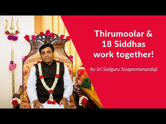 Thirumoolar & 18 Siddhas work together!