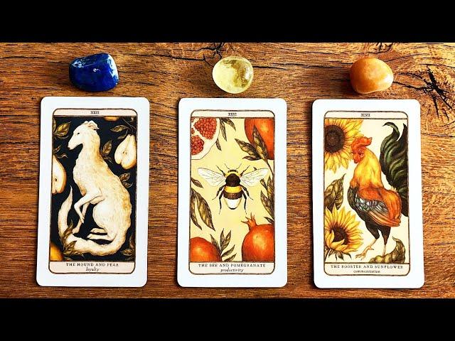 WHAT TO EXPECT IN THE REST OF 2024? | Pick a Card Tarot Reading