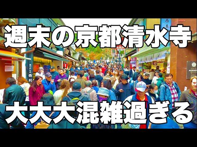 【4K】2024年11月23日（土）週末の京都清水寺の紅葉色づき状況。大大大混雑過ぎる！周末清水寺的秋叶颜色不断变化。太拥挤了！Kiyomizu-dera Temple in Kyoto japan