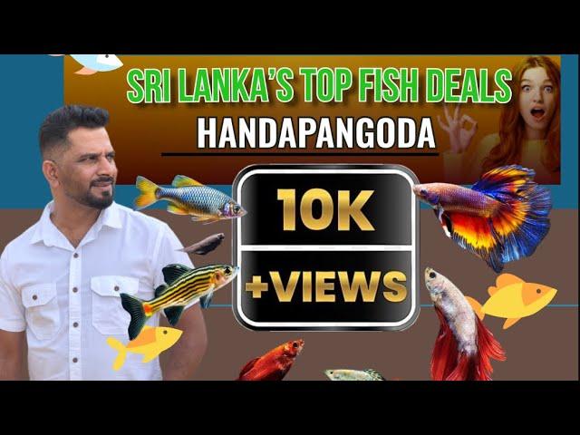 Payanam - Fish Farming | Sri Lanka | Padukka