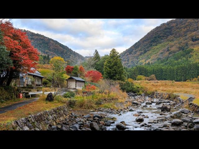 Morning Walk Upstream via Forest Trail and Mossy Rock Garden | Fukuchiyama, Japan 4K