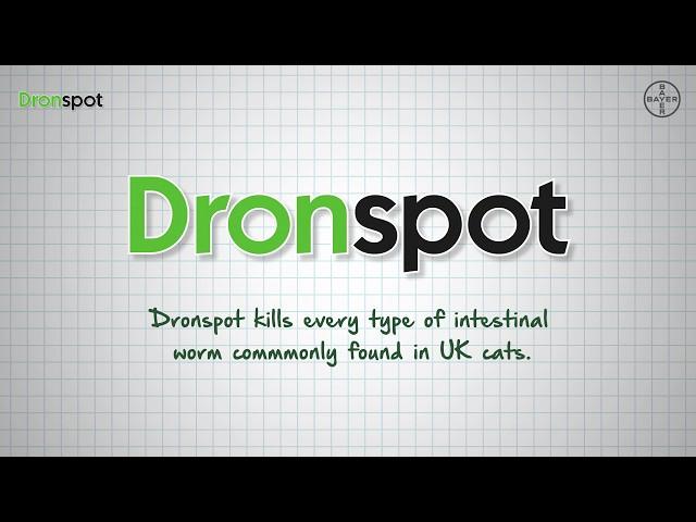 DRONSPOT® Spot-on Wormer for Cats - How it Works (Bayer)