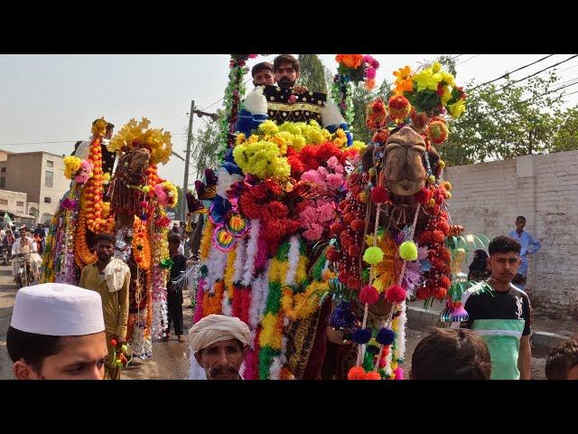 How Muslims celebrate 12 Rabi Ul Awal Jashan Eid Milad un Nabi 2024 | Multan Pakistan