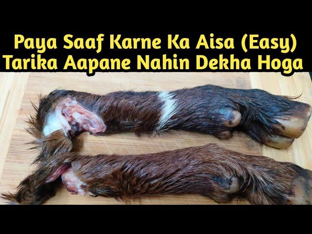 Bakra Eid Special / How to Clean, Wash And Cut Goat Trotters / Paya Saaf Karne ka Sabse Aasan Tarika