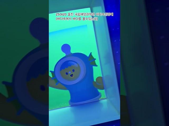 250620 울진 국립해양과학관 바다 속 전망대 (바다속에서 바다볼수있는곳)