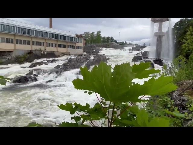 Gentleman Gipsy - Hønefossen, Norway