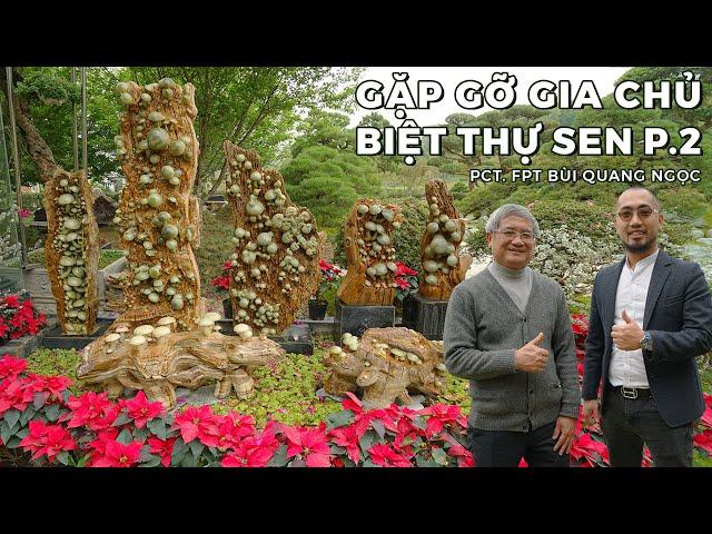 Unique Gemstone & Fossil Wood Collection of Owner of Sen Villa BUI QUANG NGOC - Part 2 | NHATO