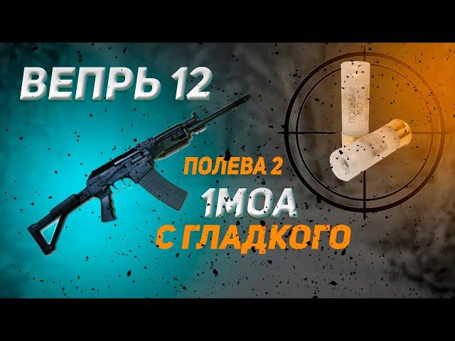 ВЕПРЬ 12  ПОЛЕВА 2