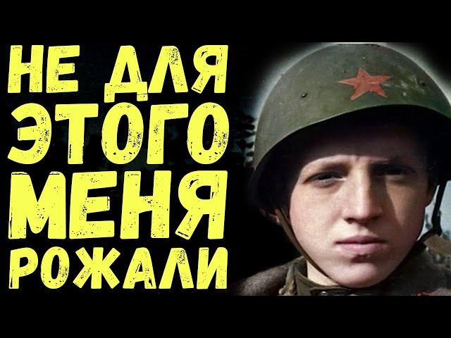 Лужское окружение 1941 года. Дневник советского офицера Военные истории. Мемуары солдат.
