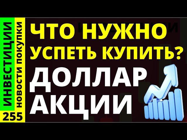 Какие акции покупать сейчас? Северсталь Роснефть Курс доллара Норникель Дивиденды ОФЗ инвестиции