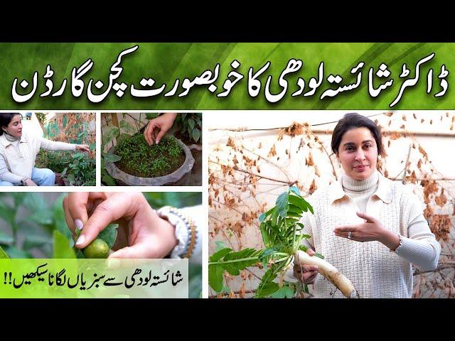 Shaista Lodhi's Turns Her Home Into A Kitchen Garden #Vlog