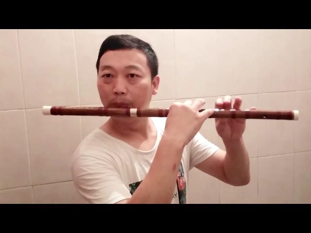 Concert Grade Professional Chinese Bamboo Flute Dizi sound（ Model:A005) @Dan Tang