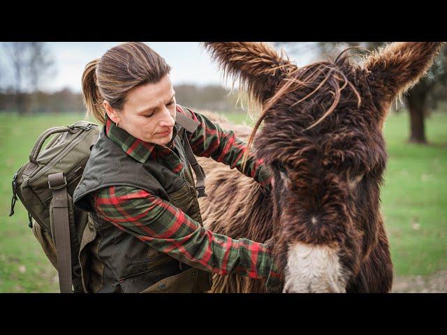 JAGD ist TIERSCHUTZ | Staffel 2 Episode 1 | #JAGDistMEHR