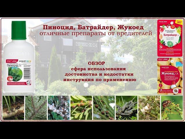 Инсектициды Пиноцид, Батрайдер и Жукоед - эффективные средства от садовых вредителей на растениях