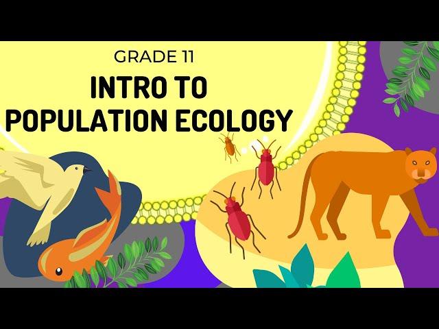 Intro to Population ecology | Population Ecology