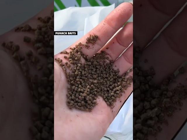 Тільки погляньте на цей КОРМ??  Найкраще зроблене в Україні - @puhach_baits!!!  #рибалка #риболовля